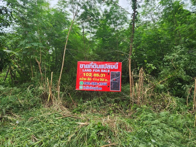 ID :  61ที่ดินคุณหนมคอลสามสิบเอ็ดทับสาม SALE ขาย ที่ดิน - 1300000 B.  ใหญ่ 102 ตร.วา ใกล้กับ ตลาดไท วัดธรรมกาย ร้านพี่ยาคนรุม BIG SURPRISE!!