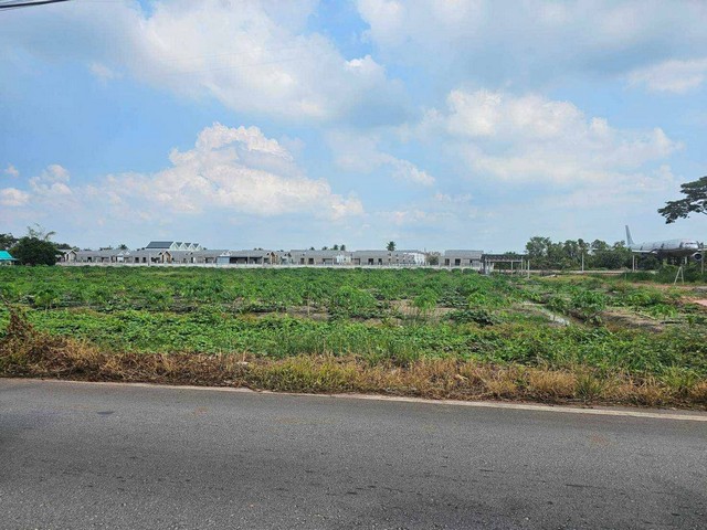 ขายที่เปล่าติดถนนหลักห้า อำเภอดำเนินสะดวกราชบุรีทำเลธุรกิจ บรรยายกาศดีมาก ต.ศรีสุราษฎร์ อ.ดำเนินสะดวก จ.ราชบุรี