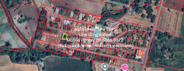 ขายที่ดินในโครงการจัดสรร ปากช่อง เขาใหญ่ (ทางไปวังน้ำเขียว) 100 ตร.ว. ราคา 1.6 ล้านบาท (โอนฟรี)