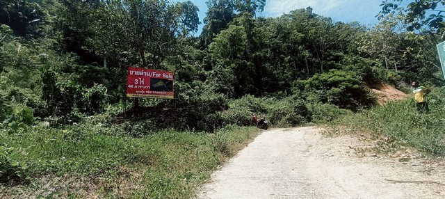 ขายที่เปล่าภูเก็ต ที่ดินอำเภอกะทู้ภูเก็ต ที่ภูเก็ตวิวภูเขาต.กะทู้ อ.กะทู้ จ.ภูเก็ต