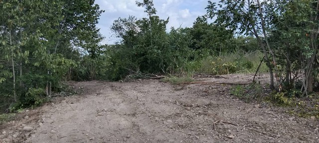 โปรดีกลางปี68พร้อมแล้ว  ขายที่สวยติดทางหลวง1107 บ้านตาก จ.ตาก คมนาคมสะดวก ไร่ละ 300000 ต.ตากตก อ.บ้านตาก  จ.ตาก  0837124115