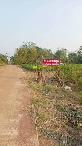 ขายที่ดินกาญจนบุรี ขายที่ด่านมะขามเตี้ย ขายที่ดินตำบลกลอนโดอำเภอด่านมะขามเตี้ย  ต.กลอนโด อ.ด่านมะขามเตี้ย จ.กาญจนบุรี