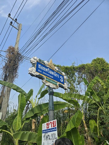 พื้นที่ดิน -  25000 บ. ใกล้ โรงเรียนปทุมวิไล ศาลากลางปทุมธานี โลตัสปทุมธานี โรงพยาบาลปทุมธานี อยู่ย่านใจกลางเมืองปทุม เขตชุมชน ดีลดีสุด ณ จุดนี้ ปทุมธานี   